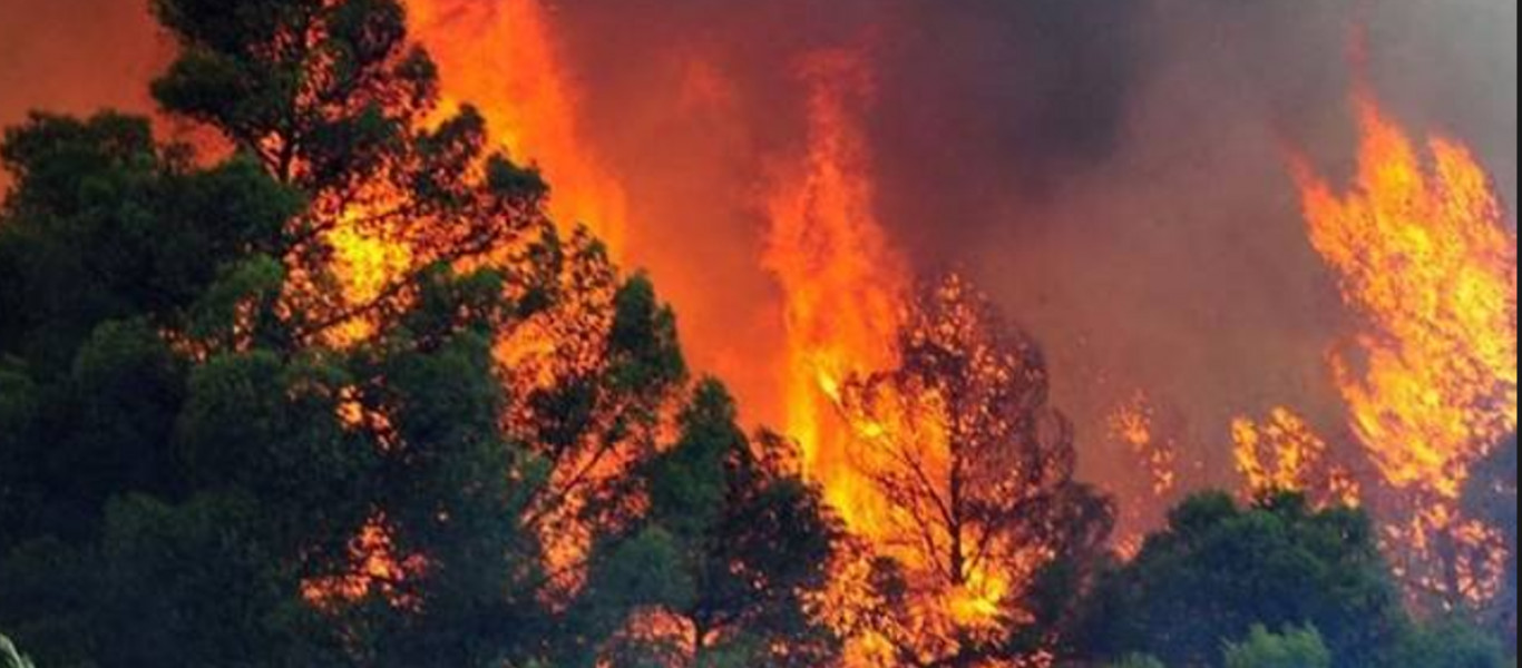 Φωτιά σε δασική έκταση στη Ζαχάρω - Στο σημείο 15 πυροσβέστες και 6 οχήματα